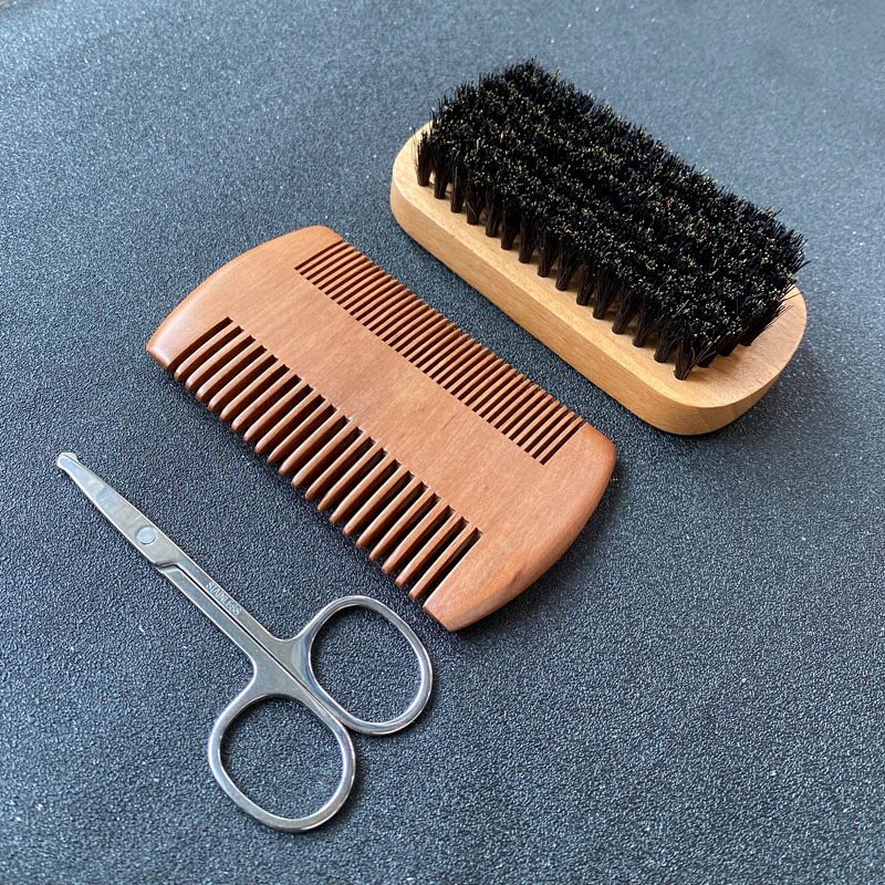 Men's Beard Grooming Set, Bear - Mens Grooming Travel Kit review and price